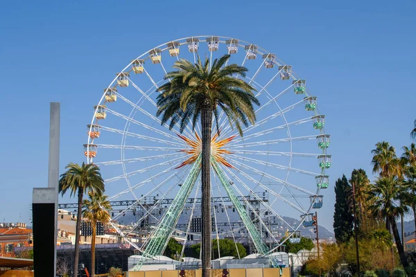 Fair pariserhjul bakom en stor palmträd — Stockfoto