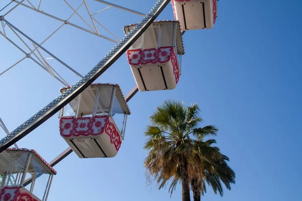 Krásné Ferrisové kolo blízko palmového stromu — Stock fotografie