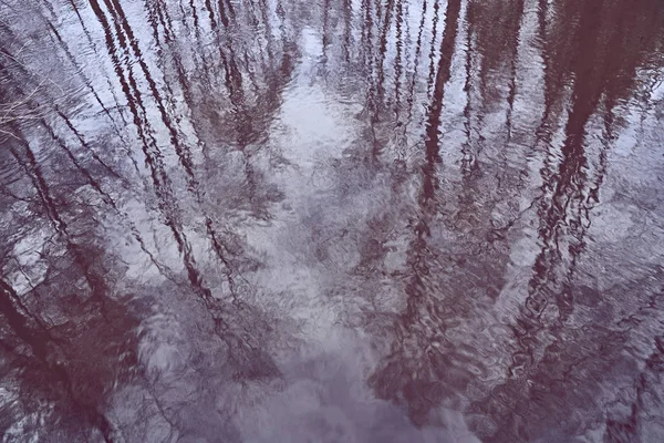 Texture Water Reflection Which Visible Forest Trees — Stock Photo, Image