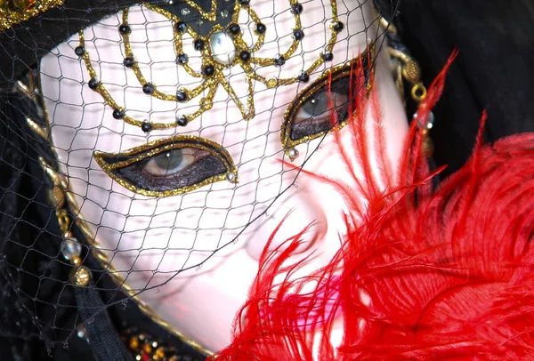 Carnival Venice — Stock Photo, Image