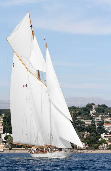 Course Voiliers Sur Côte Azur — Photo