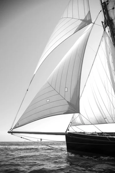 Sailing Boat Race French Riviera — Stock Photo, Image