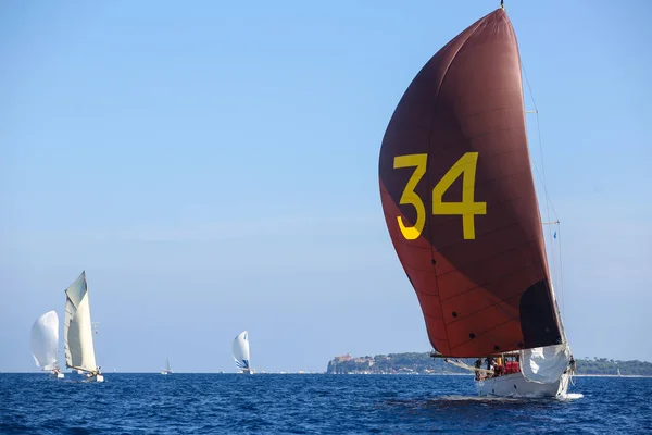 Sailing Boat Race French Riviera — Stock Photo, Image