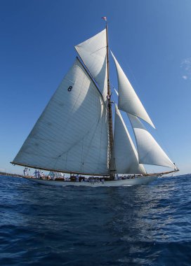 Fransız Rivierasında yelkenli yarışı 