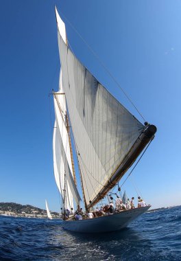 Fransız Rivierasında yelkenli yarışı 