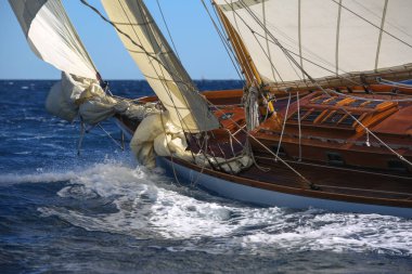 Fransız Rivierasında yelkenli yarışı 