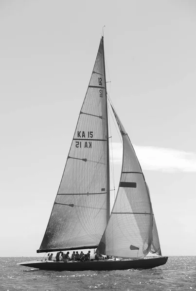 Sailing Boat Race French Riviera — Stock Photo, Image