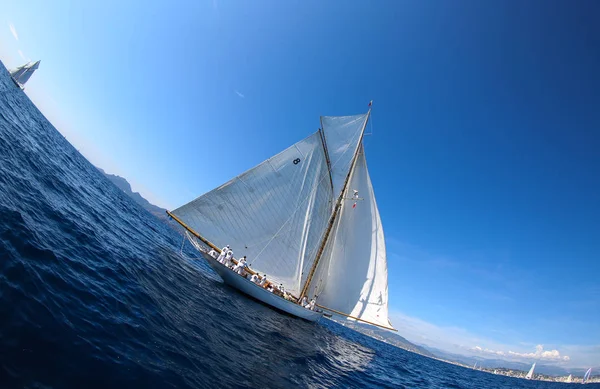 Sailing Boat Race French Riviera — Stock Photo, Image