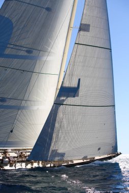 Fransız Rivierasında yelkenli yarışı 