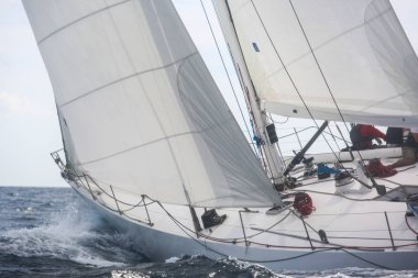 Fransız Rivierasında yelkenli yarışı 