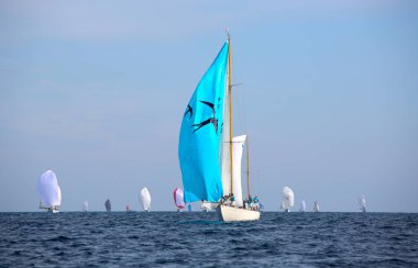 Fransız Rivierasında yelkenli yarışı 