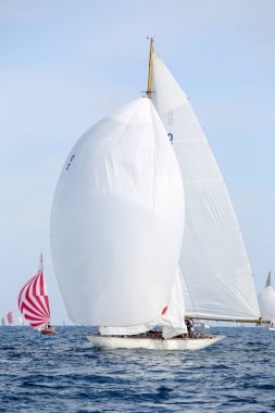 Fransız Rivierasında yelkenli yarışı 