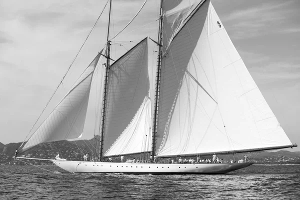 Sailing Boat Race French Riviera — Stock Photo, Image