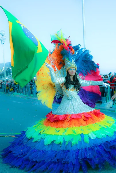 Carnevale Francese Nizza — Foto Stock