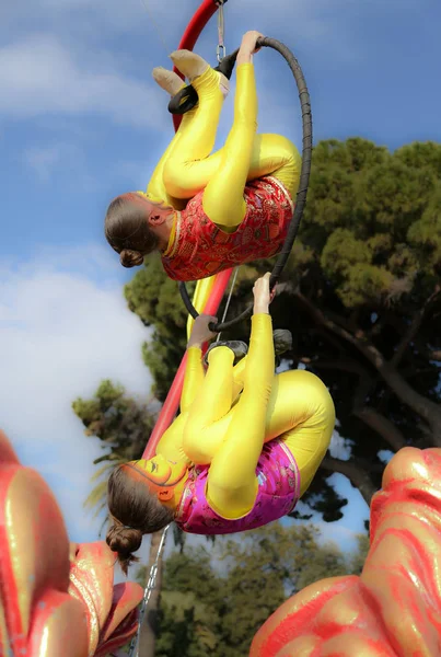 Französischer Karneval Der Schönen Dinge — Stockfoto