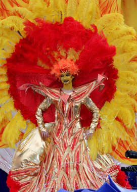 Nice Fransız karnaval