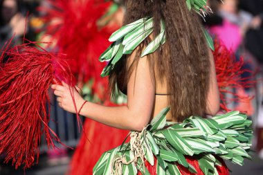 Nice Fransız karnaval