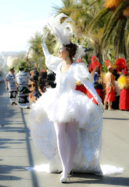 Nice Fransız Karnaval — Stok fotoğraf