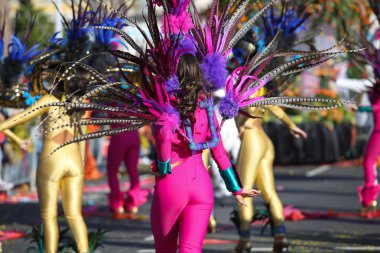 Nice Fransız karnaval