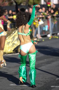 Nice Fransız karnaval