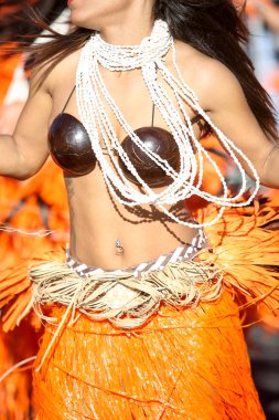 Nice Fransız karnaval