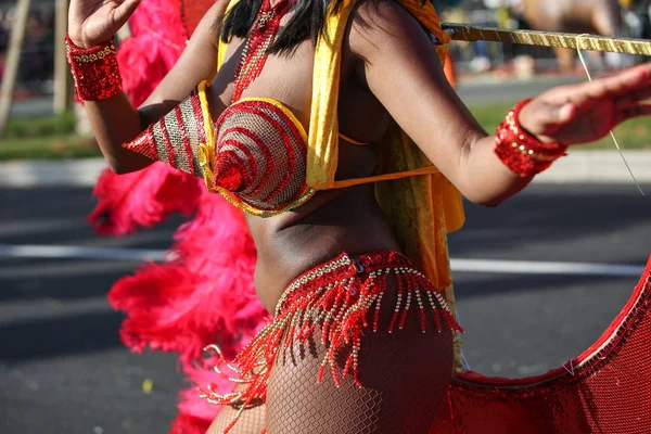 Francouzský Karneval Nice — Stock fotografie