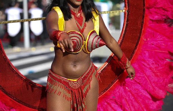 Franse Carnaval Van Nice — Stockfoto