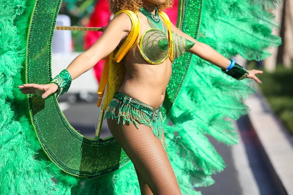 Carnaval Francés Niza — Foto de Stock