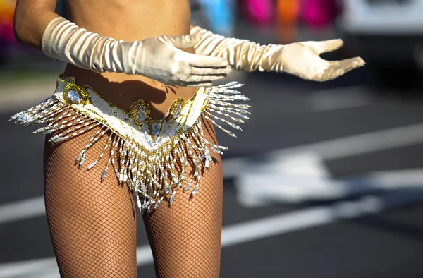 Carnaval Francês Nice — Fotografia de Stock