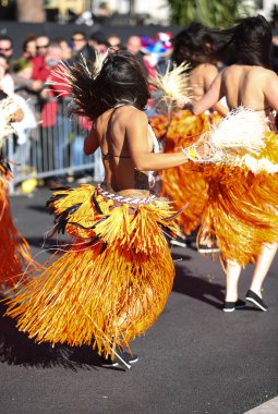 Nice Fransız karnaval