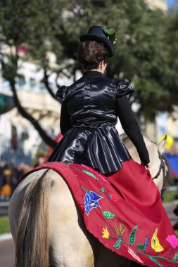 Nice Fransız karnaval