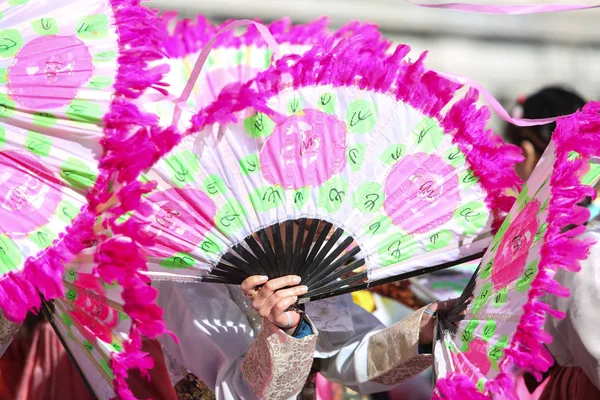 Französischer Karneval Der Schönen Dinge — Stockfoto