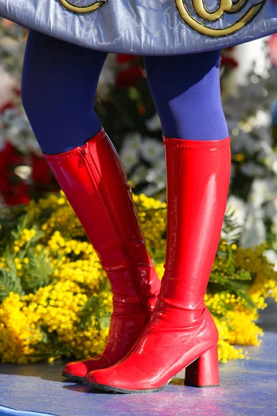 Nice Fransız karnaval