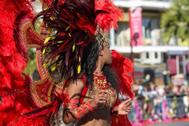 Nice Fransız karnaval