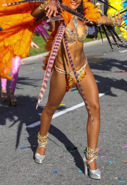 Nice Fransız karnaval