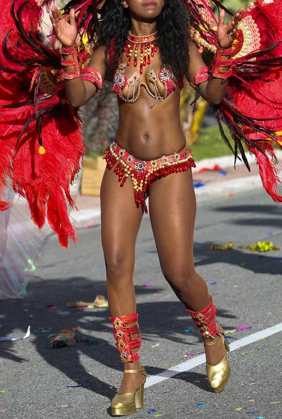 Carnaval Francês Nice — Fotografia de Stock