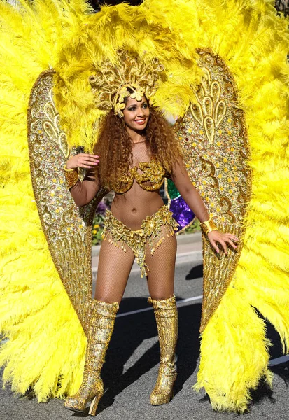 Carnaval Francês Nice — Fotografia de Stock