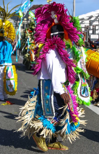 Carnaval Francês Nice — Fotografia de Stock