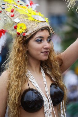 Nice Fransız karnaval