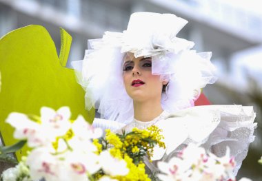 Nice Fransız karnaval