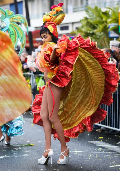 Carnaval Francês Nice — Fotografia de Stock