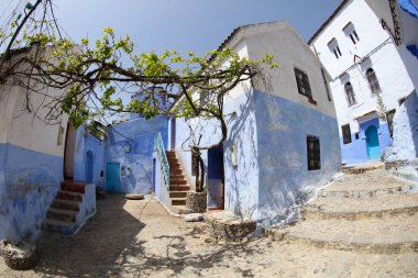 Sokak: Chefchaouen Fas 