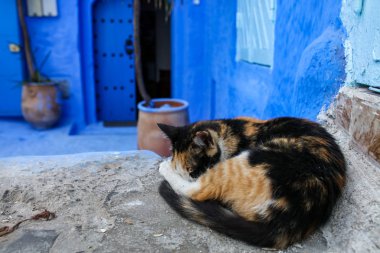 Sokak: Chefchaouen Fas 