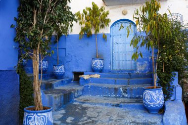 Sokak: Chefchaouen Fas 