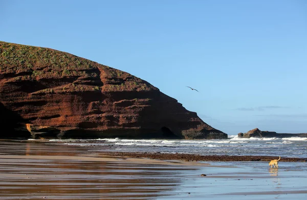 Paisajes Legzira Playa Marruecos — Foto de Stock