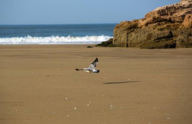 manzara Essaouira Fas