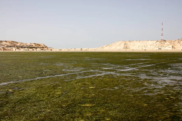 Een Landschap Van Marokko — Stockfoto