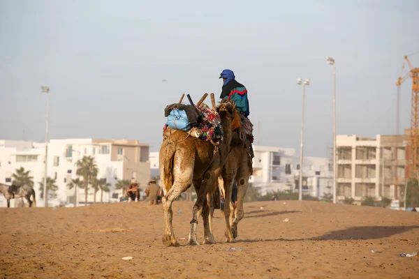 Paisagem Essaouira Marrocos — Fotografia de Stock