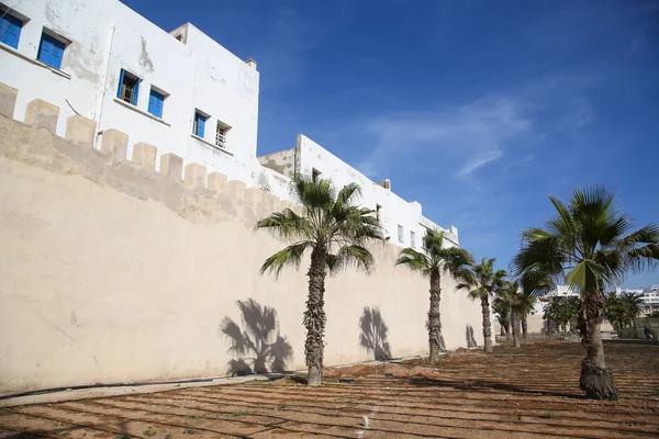 Landscape Essaouira Morocco — Stock Photo, Image