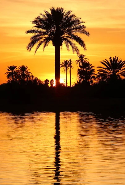 Landscapes Morocco — Stock Photo, Image